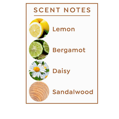 Active Argan Experience Collection 4-piece All Over Drops for Face, Body & Hair - 4 x 1.0 fl. oz. (All Over Drops 1.0 Fl.oz. - Pure 1.0 fl.oz. - Lavender 1.0 fl.oz. - Mint 1.0 fl.oz)