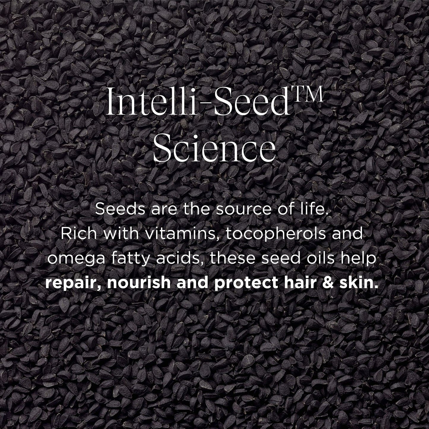 Intelligent Nutrients InspiraMint Invigorating Shampoo - Formerly Harmonic Invigorating Shampoo - Infused with Peppermint Oil & Spearmint Oil - New Look, Same Tingle (8.5 oz)